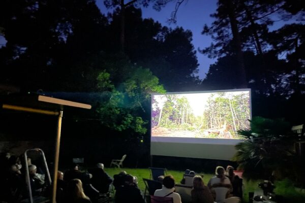 Cinéma en plein air Clair Bois (3)